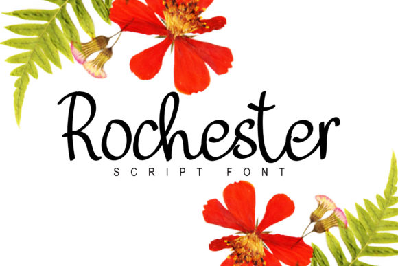 Reviewing Rochester: A Delicate Script Font for Authentic Branding