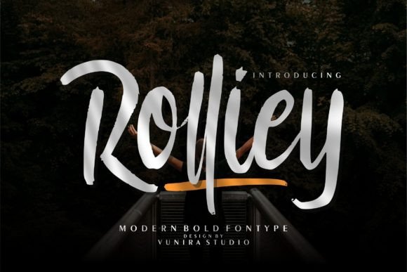 Rolliey: A Handwritten Font That Makes Your Designs Feel Personal